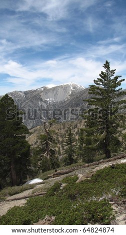 Mt. Baldy from the trail to Telegraph Peak in the Angeles National Forest