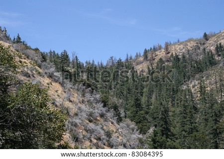 San Gabriel Wilderness, Angeles National Forest, California