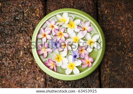 Flower Bowl, various kind of Flowers floating on the water with aroma oil in ceramic bowl .