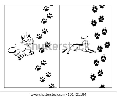 Cat Footsteps