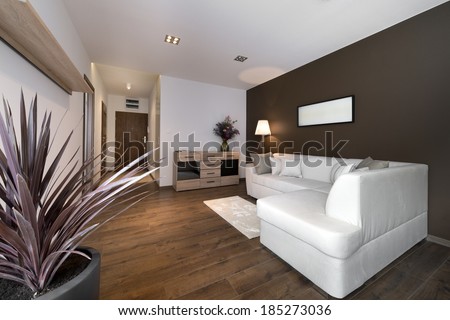 Modern brown interior design living room with flower