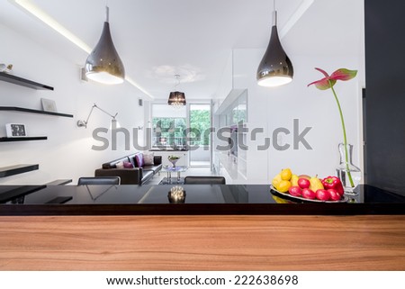 Modern living room in black and white design