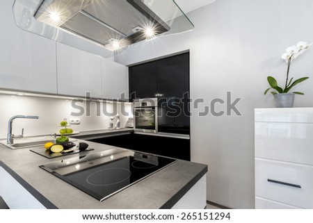 Superb luxury kitchen with granite worktop in black and white style