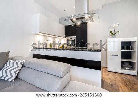 Modern black and white small kitchen interior design