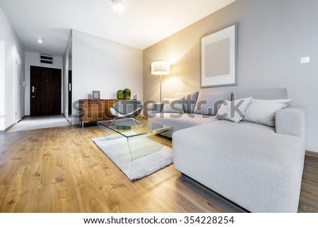 Modern living room interior design apartment
