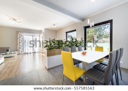 Luxurious living room with dinning table and a fancy flowering plant