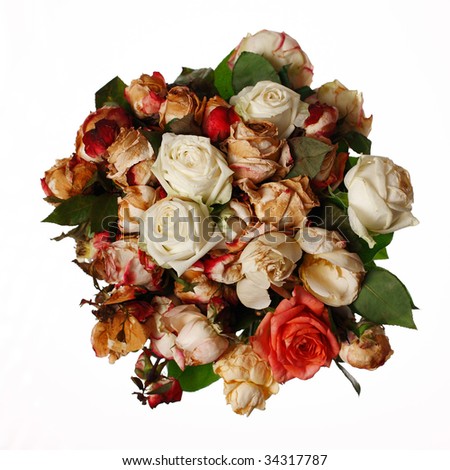 Bunch of wilted roses on white background