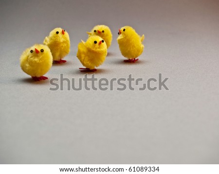 Five small cute yellow toy chickens on a gray background.