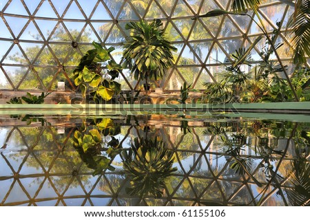 tropical dome
