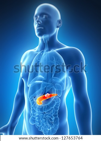 3D rendered illustration of the male pancreas cancer 3D rendered illustration of the male pancreas cancer