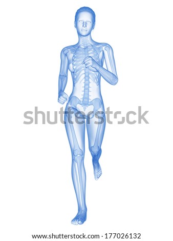 medical 3D illustration female jogger with visible bones medical 3D illustration female jogger with visible bones