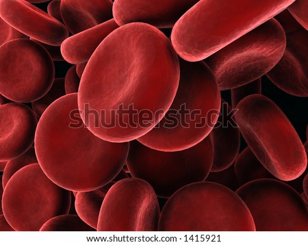 blood cells pictures. stock photo : red lood-cells