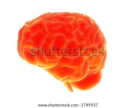 Orange Brain