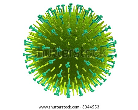 common cold virus structure. common cold virus diagram.