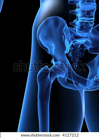 Human Hip Stock Photo 4127212 : Shutterstock