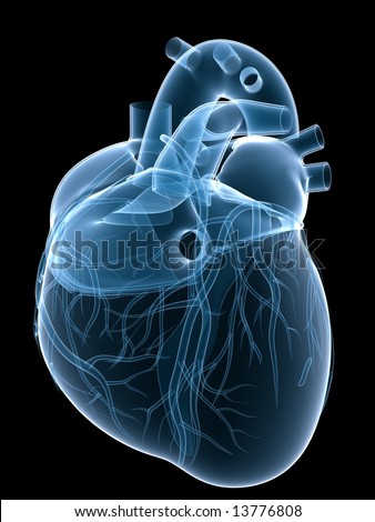xray heart xray heart