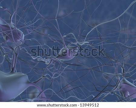 human nerve cells