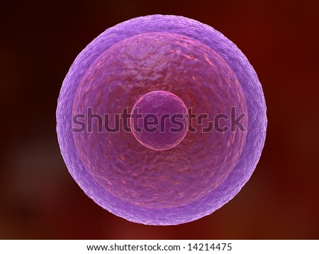 stock-photo-human-egg-cell-14214475.jpg