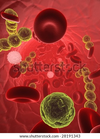 Pictures Of Streptococci