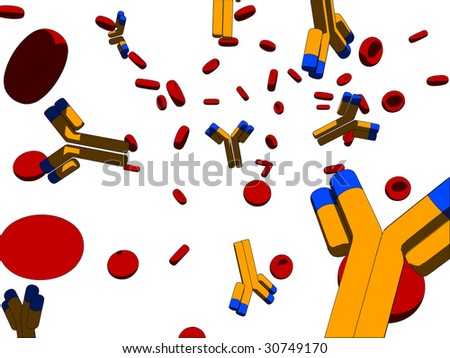 Antibodies In Blood