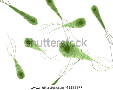 Tetanus Bacteria