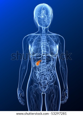 gallbladder surgery. post gallbladder surgery side