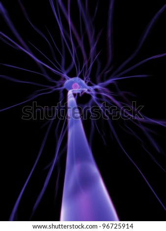 3d rendered scientific illustration of a human nerve cell