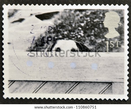UNITED KINGDOM - CIRCA 2001: A stamp printed in Great Britain shows Dog Behind Fence, circa 2001