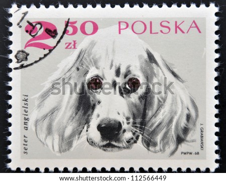 POLAND - CIRCA 1968: A stamp printed in Poland shows an angels setter dog, circa 1968