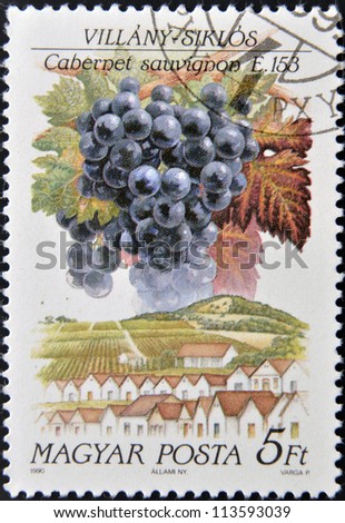 HUNGARY - CIRCA 1990: A stamp printed in Hungary shows fruit grape Cabernet sauvignon, circa 1990