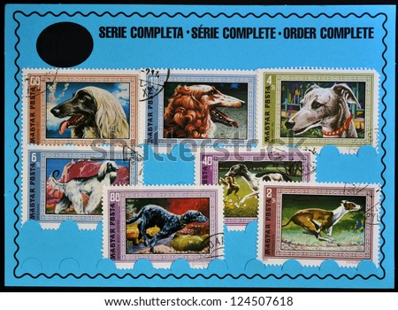 HUNGARY - CIRCA 1972: Stamps printed in Hungary shows dogs, order complete, circa 1972
