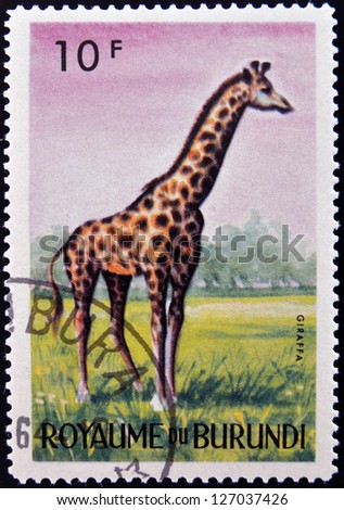 BURUNDI - CIRCA 1964: stamp printed in Kingdom of Burundi shows an African animal - Giraffe, circa 1964