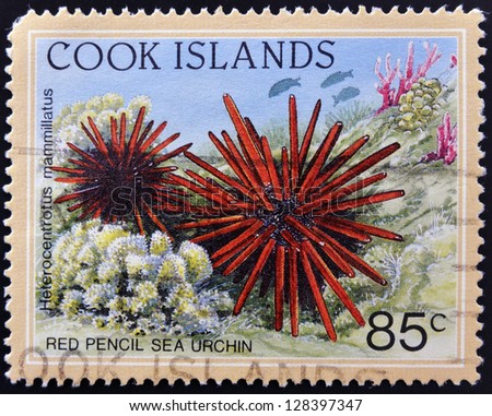 COOK ISLANDS - CIRCA 1998: A stamp printed in Cook Islands shows Red Pencil Sea Urchin - Heterocentrotus mammillatus, circa 1998