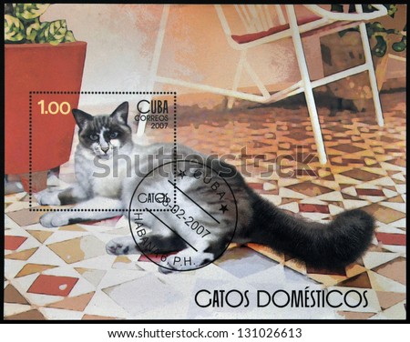 CUBA - CIRCA 2007: A stamp printed in Cuba shows domestic cat, circa 2007