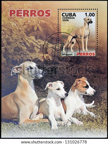 CUBA - CIRCA 2006: A stamp printed in Cuba shows Whippet, domestic dog, circa 2006