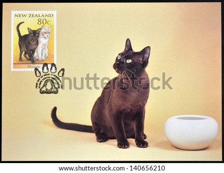 NEW ZEALAND - CIRCA 1998: stamp printed in New Zealand shows Domestic Cat, Burmese, circa 1998