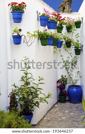 Street scene with pots of flower in the wall, Cordoba, Andalusia