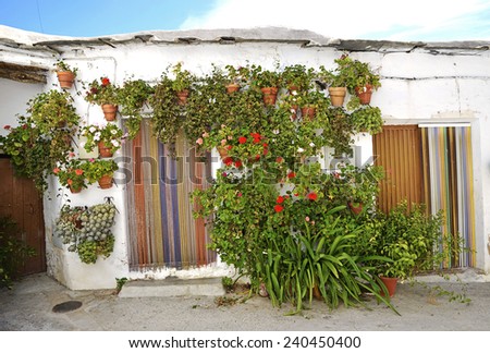 Entrance to the old spanish house and potted flowers.