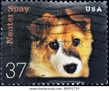 UNITED STATES OF AMERICA - CIRCA 2002: A stamp printed in the United States of America shows image dog, series, circa 2002
