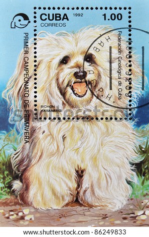 CUBA - CIRCA 1992: A stamp printed in Cuba shows a dog, Havanese, circa 1992