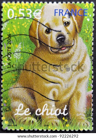 FRANCE - CIRCA 2006: A stamp printed in France shows the puppy, circa 2006