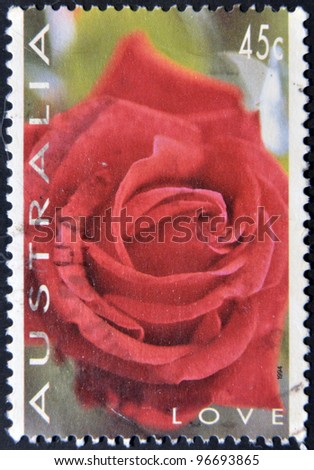 LOVE Pink Rose Framed Vintage Postage Stamp ~ 1988 USA Postage Stamp in Romantic White Frame With Pink Roses