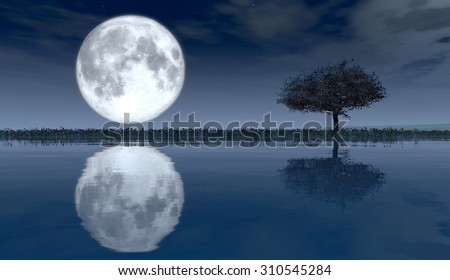 tree, night, moon and reflection