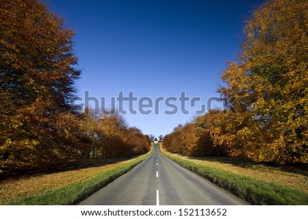 Country road in Autumn in North Yorkshire in northeast England. Autumn is the third season of the year, when crops and fruits are gathered and leaves fall in the northern hemisphere.