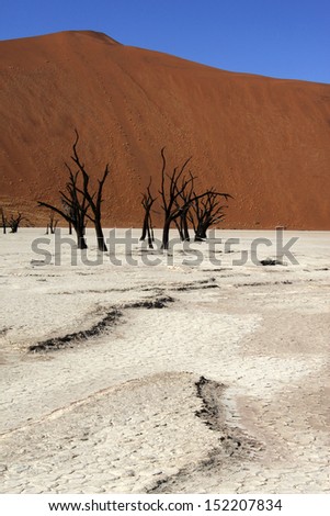 Dead Vlei salt pan in the Namib Desert in Namibia. Dead Vlei is a salt pan located near the more famous salt pan of Sossusvlei