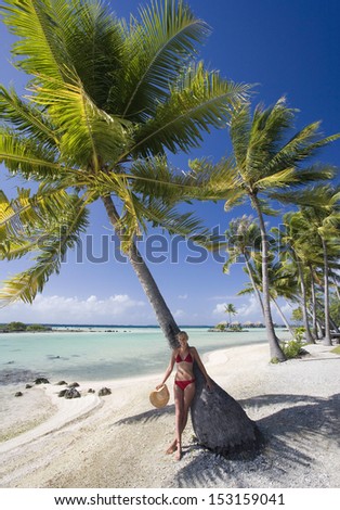 Girl in Bikini under a palm tree on the island of Manihi in the Taumotu Islands of French Polynesia in the South Pacific.