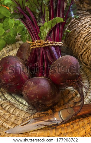 Beetroot fresh from the vegetable patch. The beetroot, also known in North America as the table beet, garden beet, or simply as beet. (Beta vulgaris).