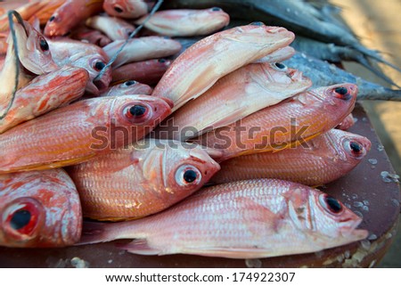 Close up of Fresh red and blue wild fishes at the fish market on the beach in Riohacha, La Guajira, Colombia 2014.