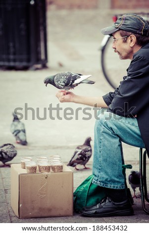 GDANSK, POLAND, SEPTEMBER 18 2013: Pigeon perched on the hand of a seeds seller. Main square of Gdansk, Old city. Poland 2013. Duho toned image.