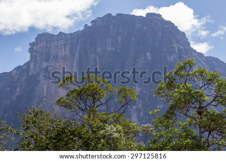 Kerepakupai Vena or Angel Falls, Salto Angel is the worlds highest waterfalls. Bolivar State. Venezuela,